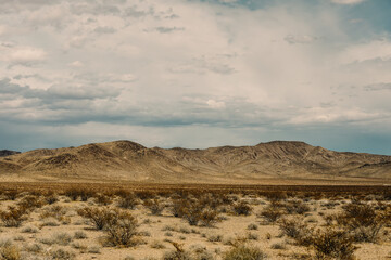 Red Rocks at the Valley of Fire Park in Nevada, USA.