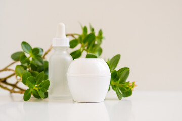 Obraz na płótnie Canvas White jar of cream and a bottle with dropper from serum on a white neutral natural light. Still life minimalistic beauty cosmetic template for beauty business and industry. Bright fresh green leaves.