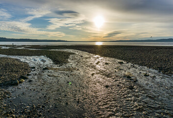 Sun Driftwood and Clouds 2