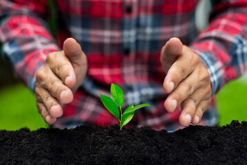 Close up young man planting young plant to soil. He believed that planting trees would reduce the temperature. reduce air pollution and save the world.