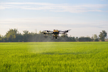 Agriculture drone flying and spraying fertilizer and pesticide over farmland,High technology innovations and smart farming