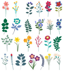 set flowers flat design on white background , isolated