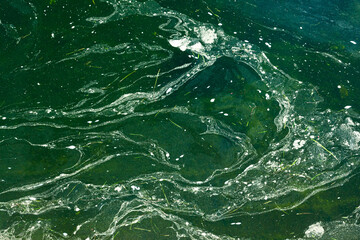 Surface of blooming water with algae. Abstract water surface background.