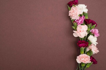 Horizontal flat lay with mini carnations on burgundy background