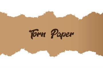 Torn ripped paper background premium Vector