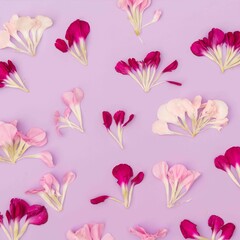 Purple background floral flower petal flat lay