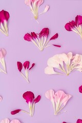 Pastel purple floral flat lay with flower petals