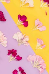 Bright yellow and lavender color block floral flat lay with petals