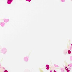 White space with flower petal border