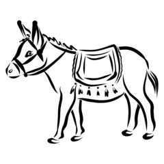 Cute donkey with saddle and bridle, black outline on white background