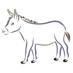 gray donkey is walking, contour on white background