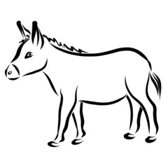 walking donkey, black outline on white background