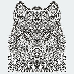 WOLF DESIGN LOGO VECTOR IMAGE ILLUSTRATION