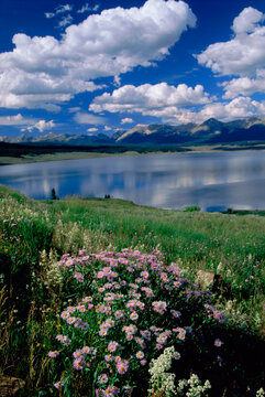 Collegiate Peaks Wilderness Area, San Isabel National Forest, Colorado, USA