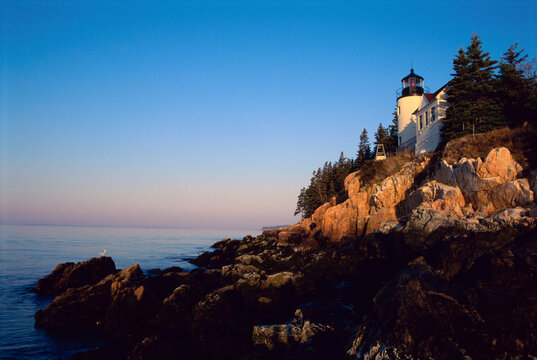 Low angle view of Bass Harbor Head Lighthouse, Mount Desert Island, Maine, USA