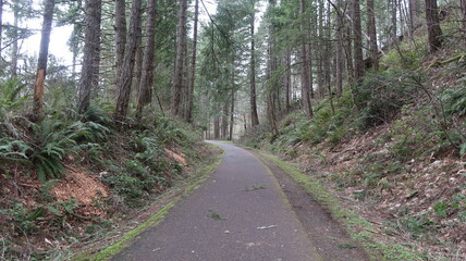 Row River Trail | Cottage Grove, Oregon
