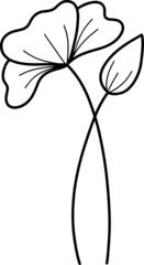 collection forest fern eucalyptus art foliage natural
leaves herbs in line style. Decorative beauty, elegant illustration 
Vector flower Botanical