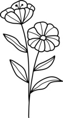 collection forest fern eucalyptus art foliage natural
leaves herbs in line style. Decorative beauty, elegant illustration 
Vector flower Botanical