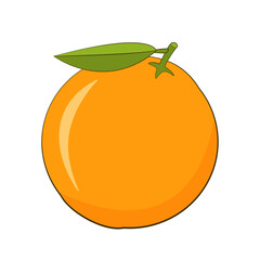 Orange. Cartoon. Vector illustration