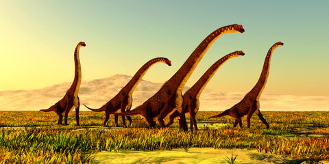Jurassic Giraffatitan Dinosaurs - A herd of Giraffatitan dinosaurs travel through a grassy plain in Africa during the Jurassic Period. © Catmando