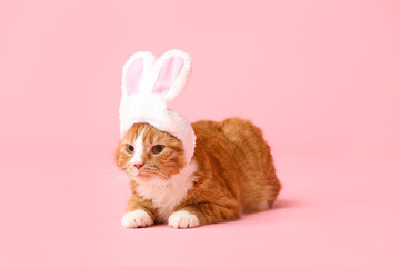 Cute cat in bunny ears on pink background