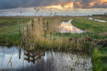 ditches with wooden fence between reeds in nature reserve Alde Feanen in Friesland, the Netherlands
