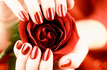 Female fingers with a beautiful red manicure holding a red rose.