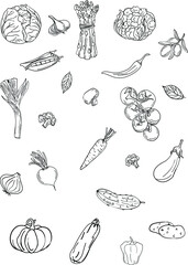 vegetable shop vector icons set