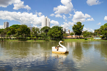 Fototapeta na wymiar Vista de um lago em um parque público da cidade de Goiânia. Lago das Rosas. Onde as famílias vão descansar e fazer piquenique.