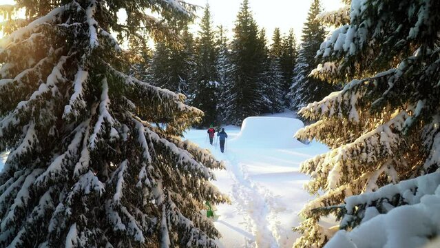 Friends hiking in mountain forest covered in snow during golden hour sunset