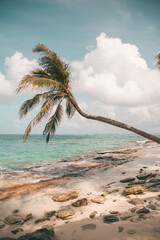 San Andres Colombia - Kolumbien Strand - Palm Sky - Johny Cay