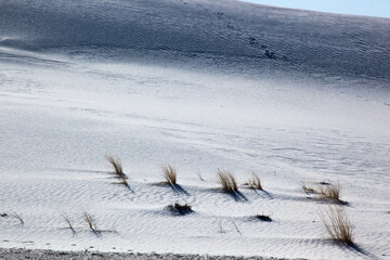 Fototapeta premium Landscape from White Sands National Park