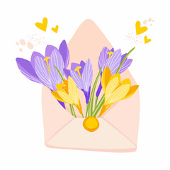 Beautiful crocus flowers in postal envelope. Hand drawn vector illustration template design for poster, postcard, banner, flyers, invitation