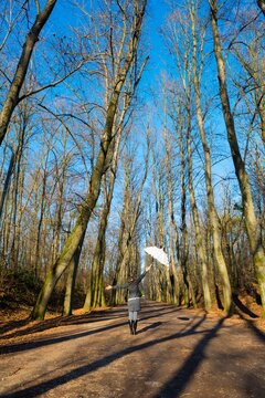 Woman with an Umbrella in a Forest Road with Bare Tree in a Sunny Say in Lombrady, Italy.