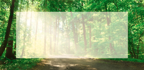 Waldweg Hintergrund Querformat