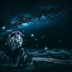 Mystischer Löwe in der Nacht