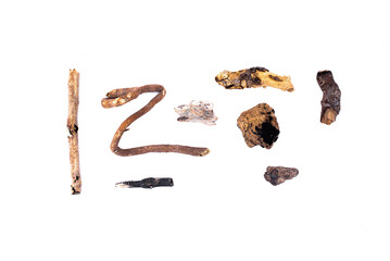 Dried wood tree parts isolated on the white background.