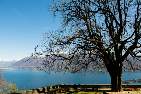 Panoramic View over Brissago Islands and Alpine Lake Maggiore with Snow-capped Mountain in Ascona, Switzerland.