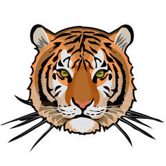 Design of Tiger head Tattoo Style. Wild tiger Vector