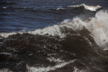 Large storm waves in the sea