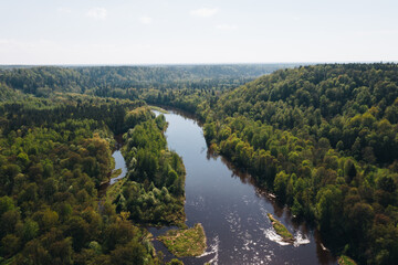 Aerial view of river in the forest valley