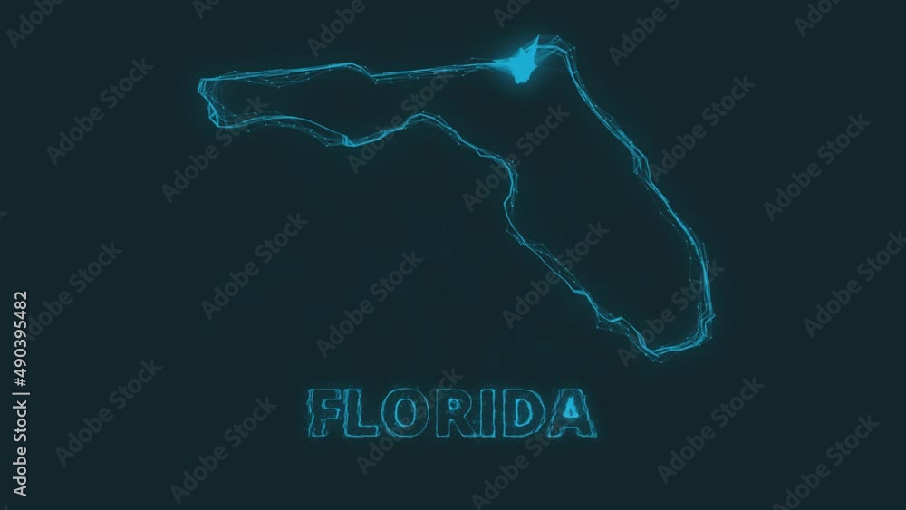Poster Plexus flat map showing the state of Florida from the United State of America on black background. USA. Plexus map of Florida