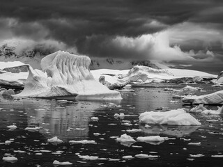 Black & White, Sculpted icebergs in Gerlache Strait, Antarctica