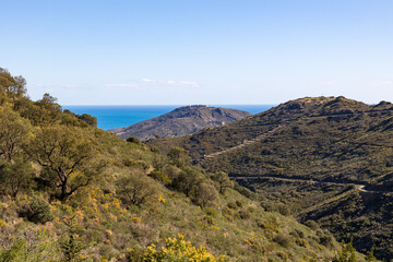 Vue sur le Fort Béar dominant la mer et les terres (Occitanie, France)