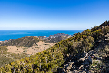 Vue sur le Fort Saint-Elme, le Fort Dugommier et le Fort Béar dominant la mer et la ville de Port-Vendres (Occitanie, France)