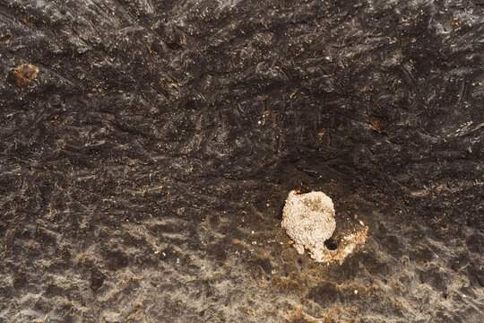 An old empty swallow's nest. The swift is an abandoned nest. Clay nest on the cave wall