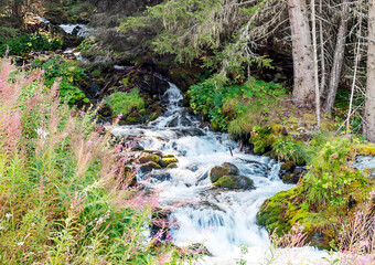 River in the mountains of the Swiss Alps