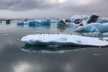 Island - Jökulsárlón - Gletscherflusslagune / Iceland - Jökulsárlón - Glacier river lagoon /