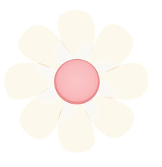 White daisy flower. vector illustration