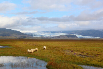 Island - Breiðamerkurjökullgletscher / Iceland - Breiðamerkurjökullglacier /